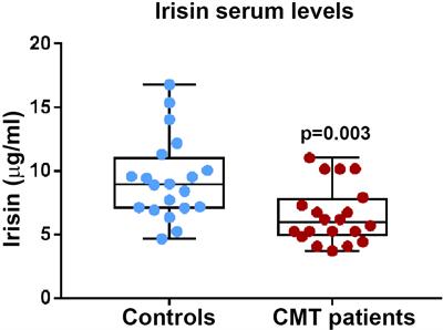 Irisin Serum Levels and Skeletal Muscle Assessment in a Cohort of Charcot-Marie-Tooth Patients